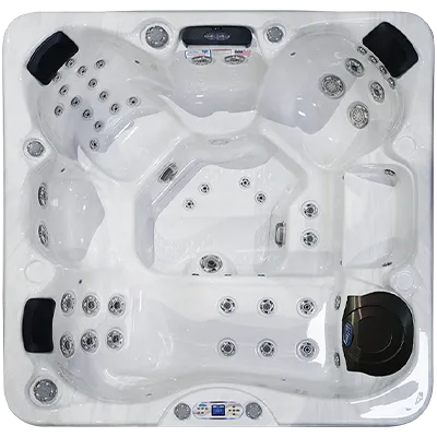 Avalon EC-849L hot tubs for sale in Largo